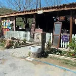 尼斯安尼安酒店 酒店