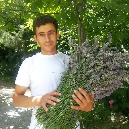 Nisanyan 3* Σελτσούκ