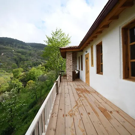 Nisanyan Σελτσούκ