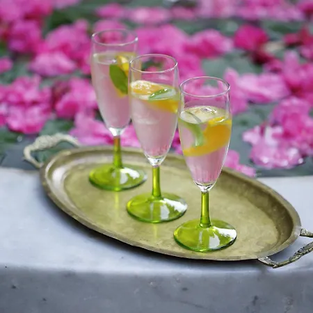 Nisanyan Σελτσούκ