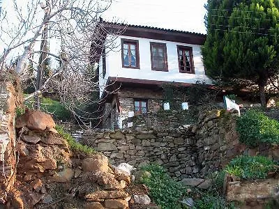 Ξενοδοχείο Nisanyan