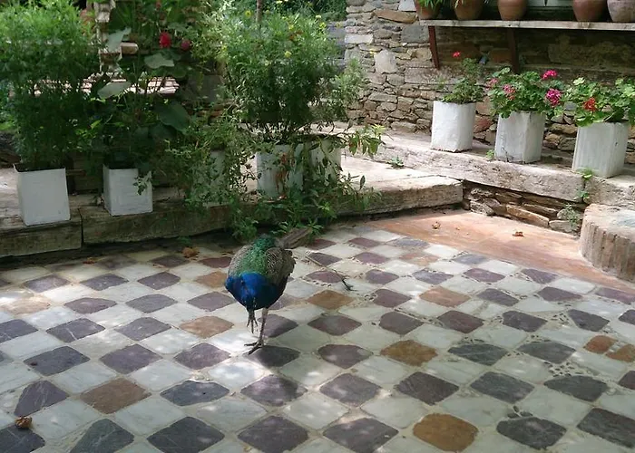 Nisanyan Hotell