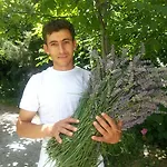 Nisanyan 3* Selçuk
