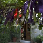Nisanyan Hotel Selçuk