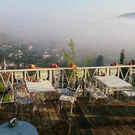 Nisanyan Selçuk